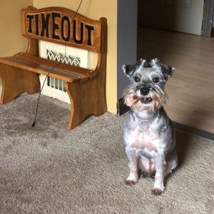 Meet your Posher, Brandi